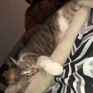 Meet your Posher, Ash